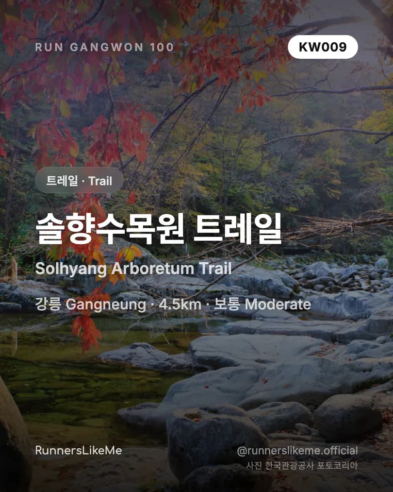 솔향수목원 트레일 — RUN GANGWON 100 도감 카드 1/4