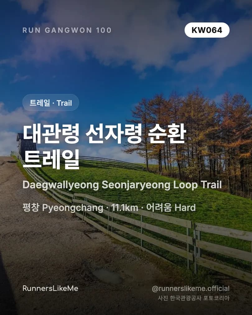 대관령 선자령 순환 트레일 — RUN GANGWON 100 도감 카드 1/4