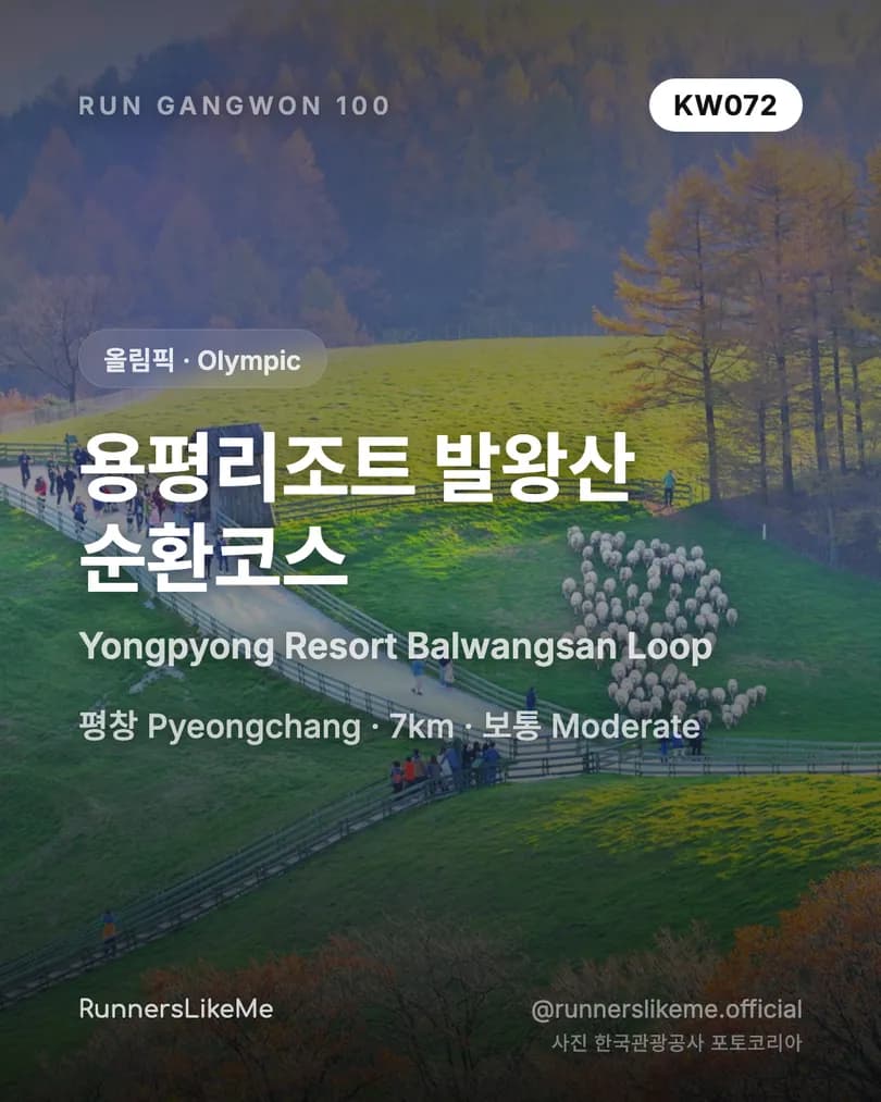 용평리조트 발왕산 순환코스 — RUN GANGWON 100 도감 카드 1/4