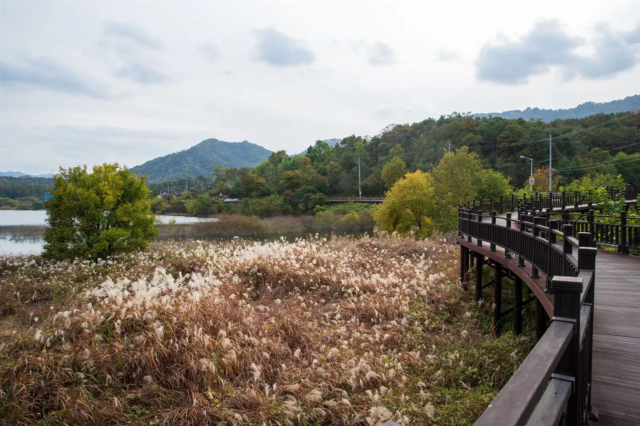 대청호 오백리길 명상정원런