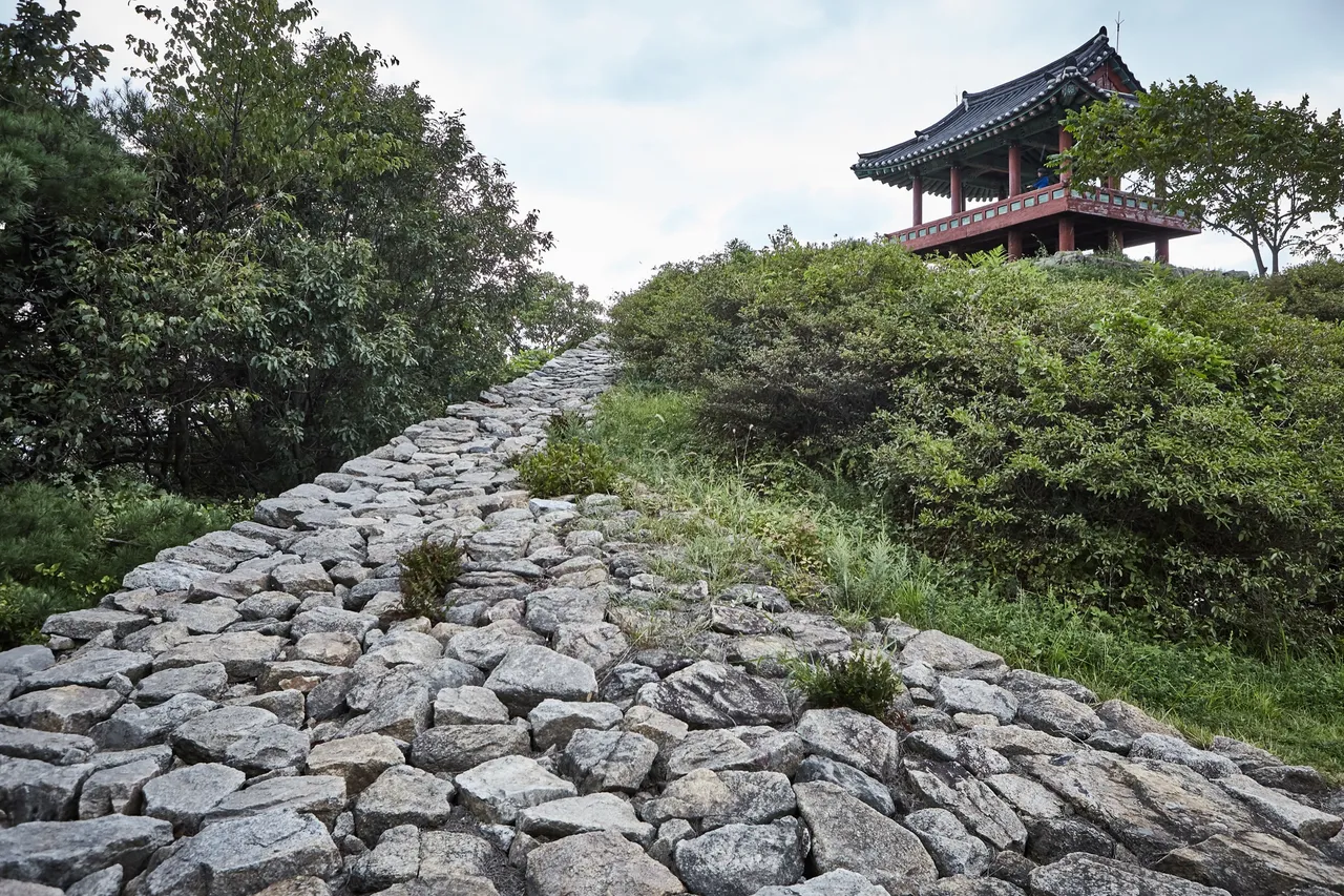 보문산 사정공원 임도런
