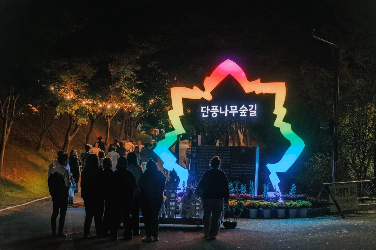 독립기념관 단풍나무숲길