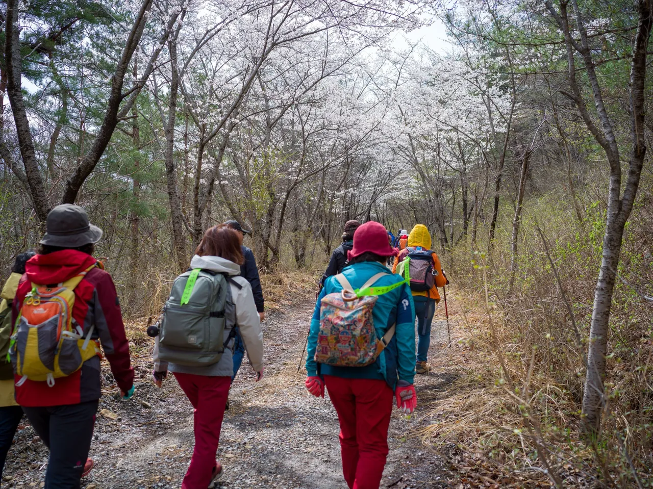 보곡산골 산꽃술래길