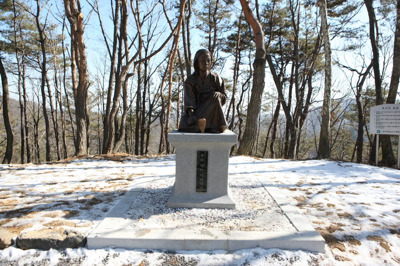 칠갑산 산장로 임도