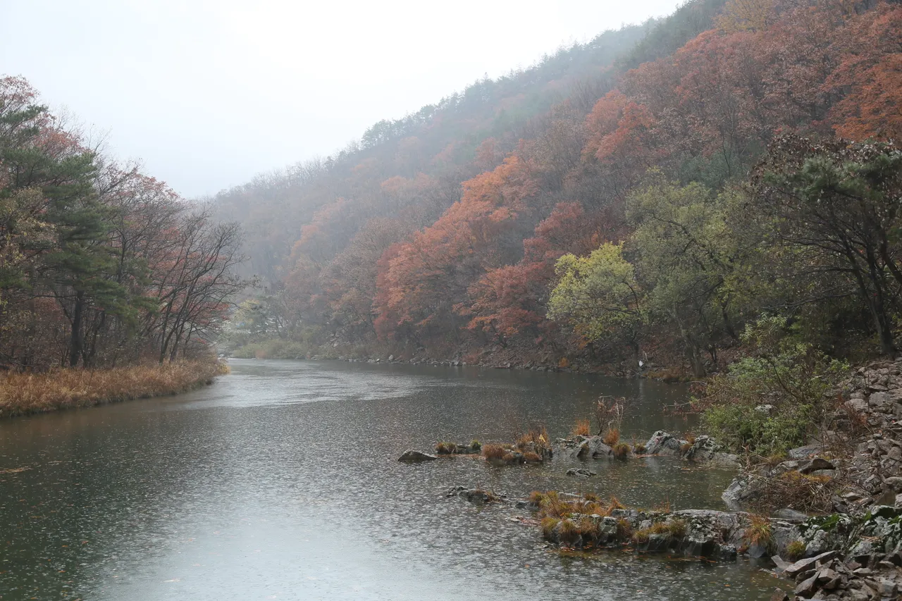 월류봉 풍경소리길 반야사