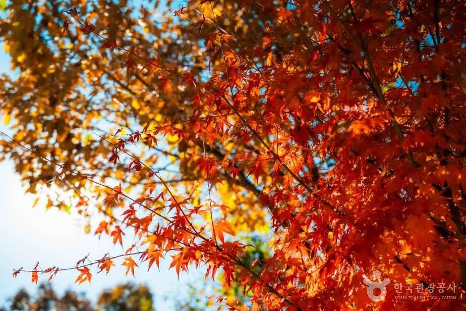 횡성호수길 5구간 코스