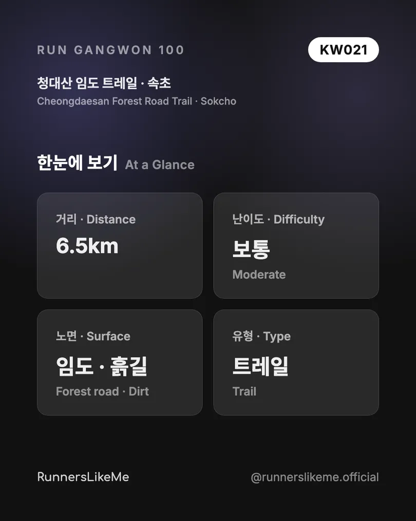 청대산 임도 트레일 — RUN GANGWON 100 도감 카드 2/4