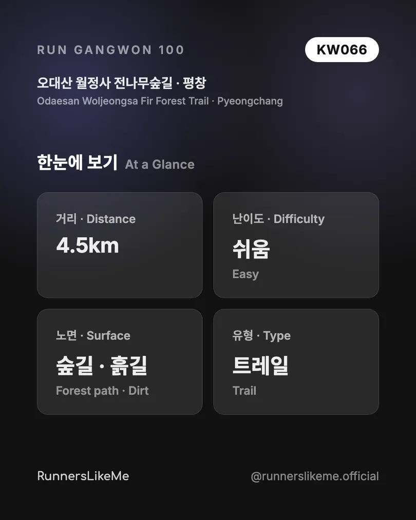 오대산 월정사 전나무숲길 — RUN GANGWON 100 도감 카드 2/4