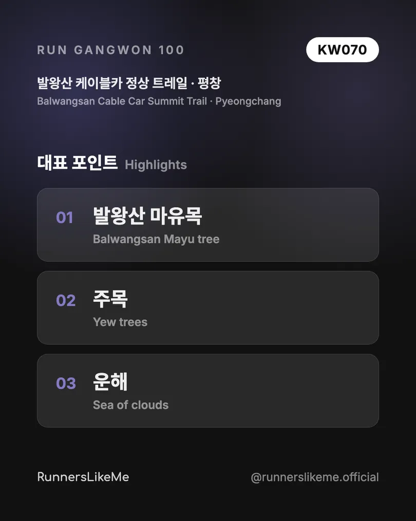 발왕산 케이블카 정상 트레일 — RUN GANGWON 100 도감 카드 3/4