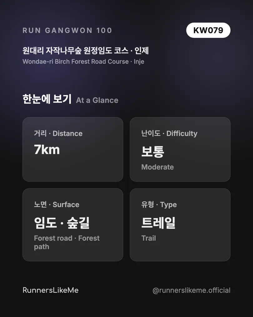원대리 자작나무숲 원정임도 코스 — RUN GANGWON 100 도감 카드 2/4