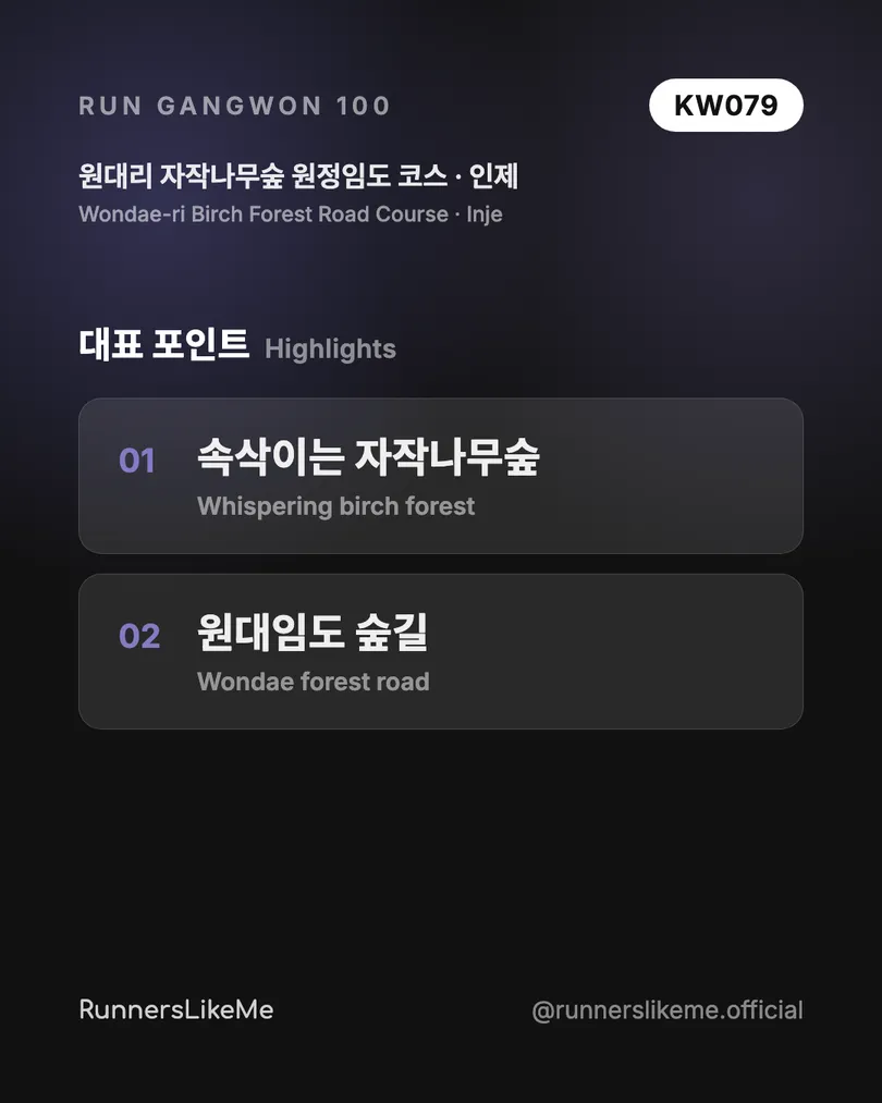 원대리 자작나무숲 원정임도 코스 — RUN GANGWON 100 도감 카드 3/4