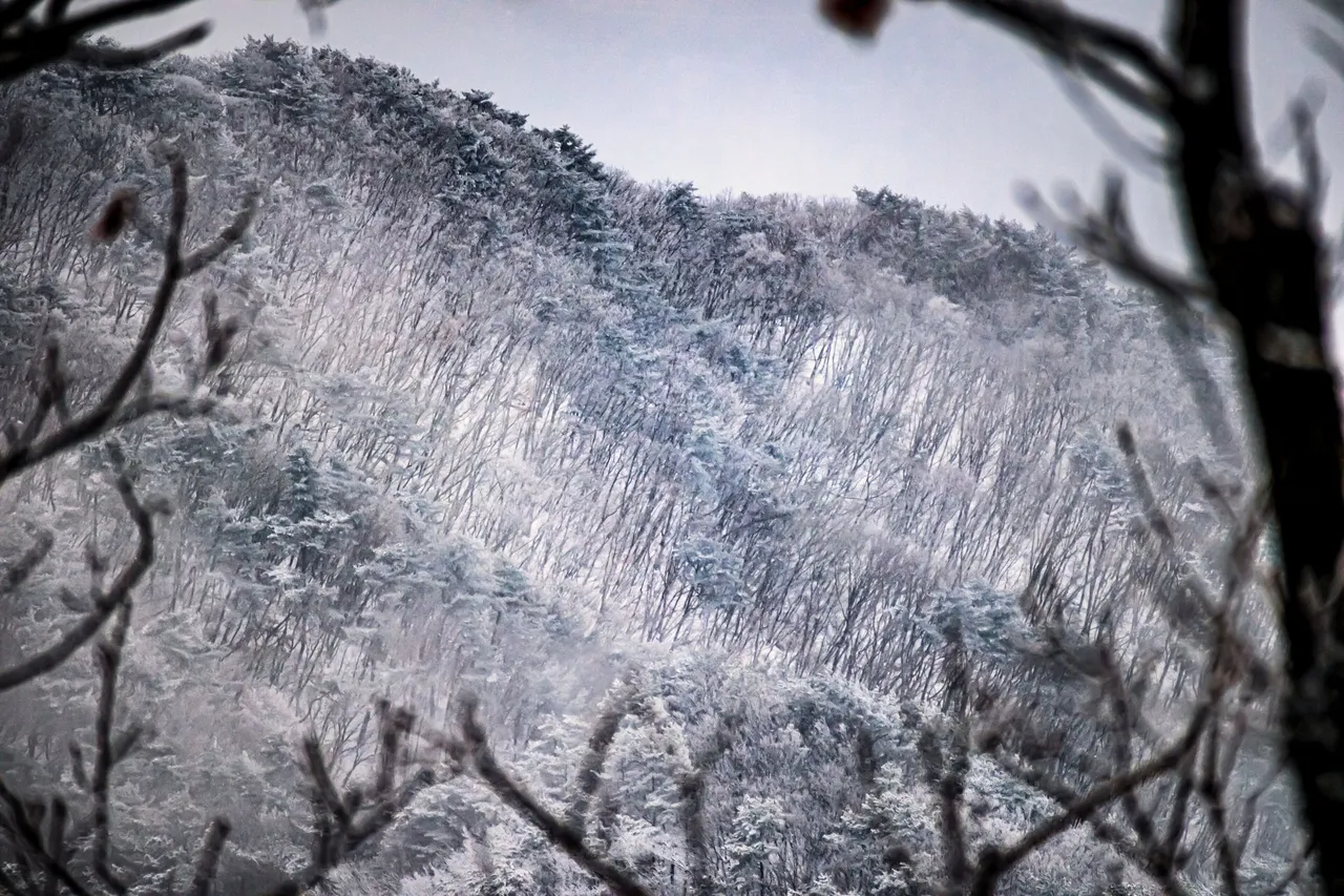 광교산 형제봉 트레일