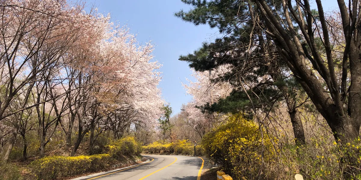 남한산성유원지 계곡길