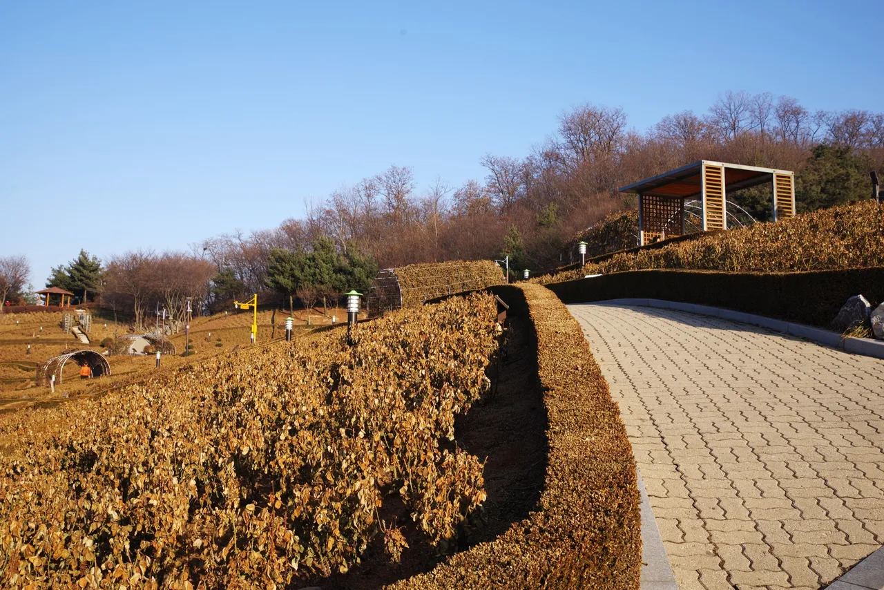 백만송이장미원