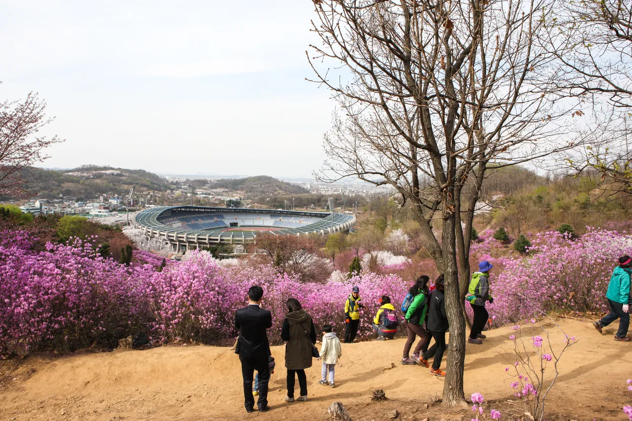 원미산 진달래동산