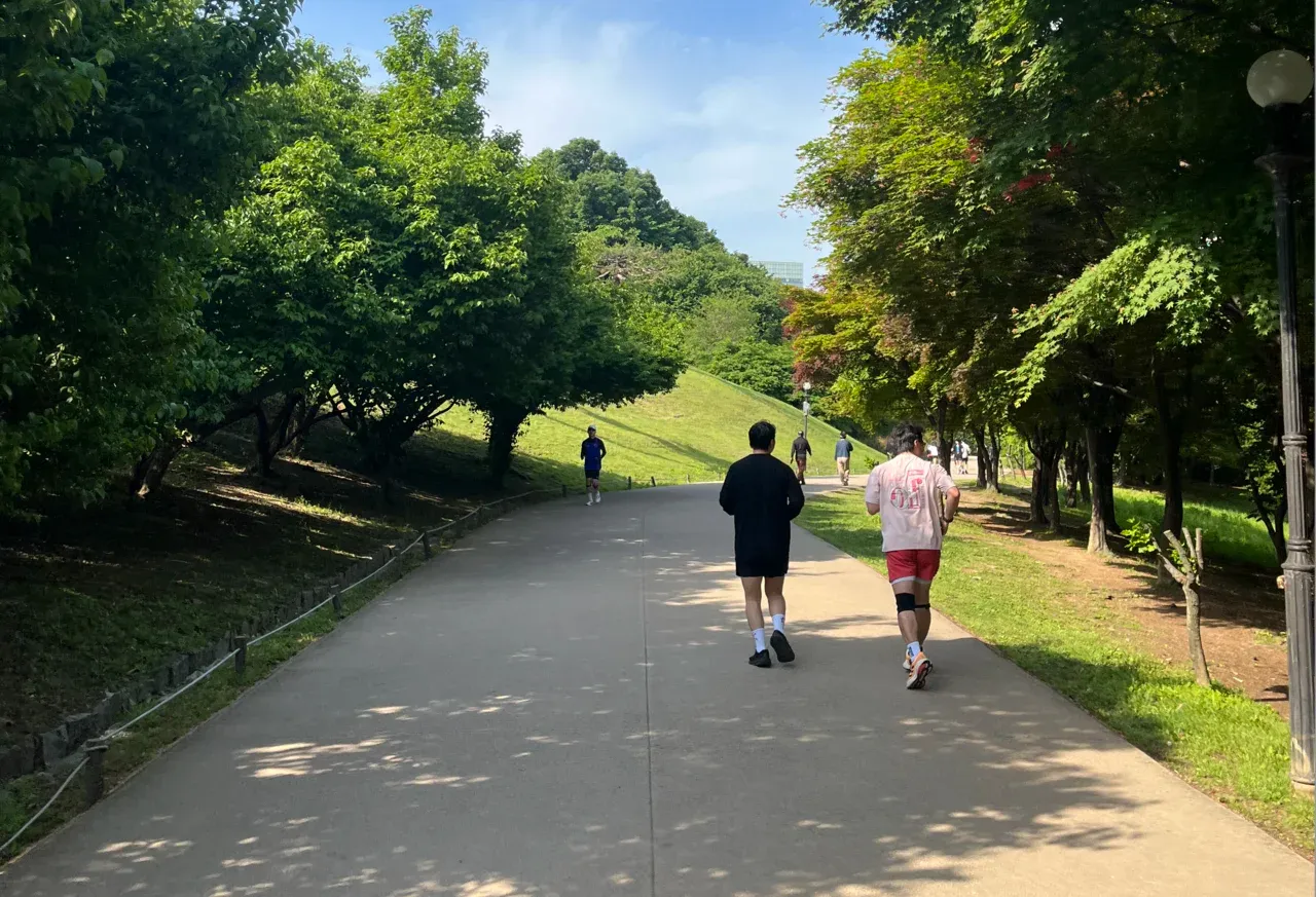 올림픽공원 구릉 숲길 루프