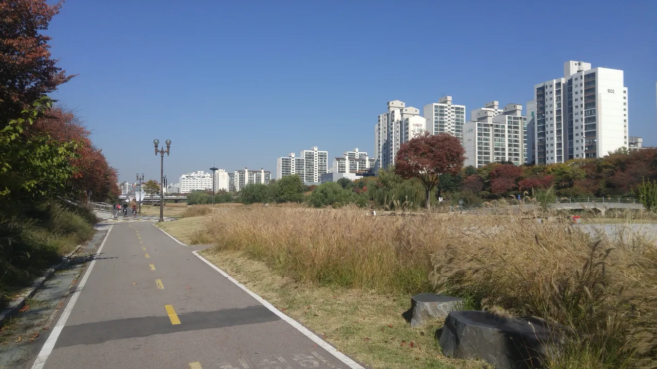 탄천 합수부 코스