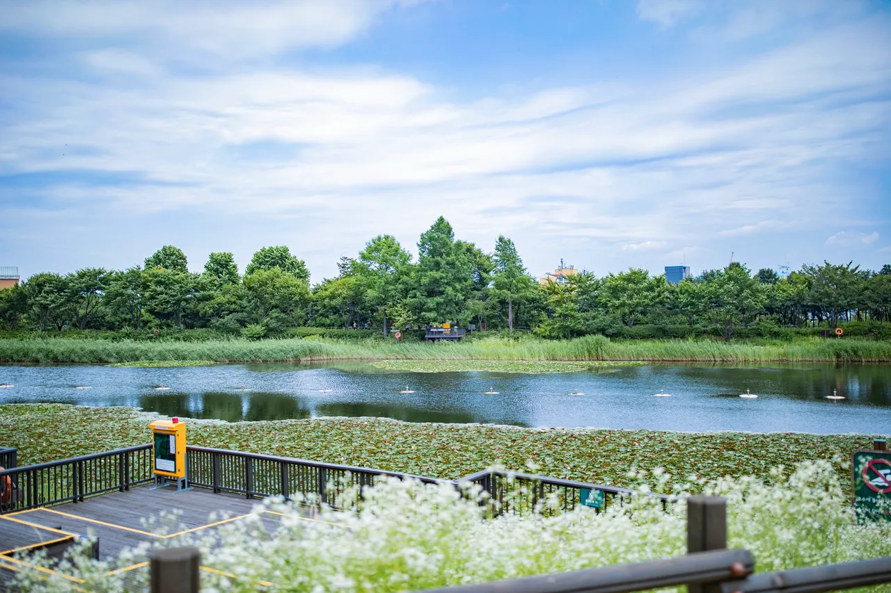 서서울호수공원 코스
