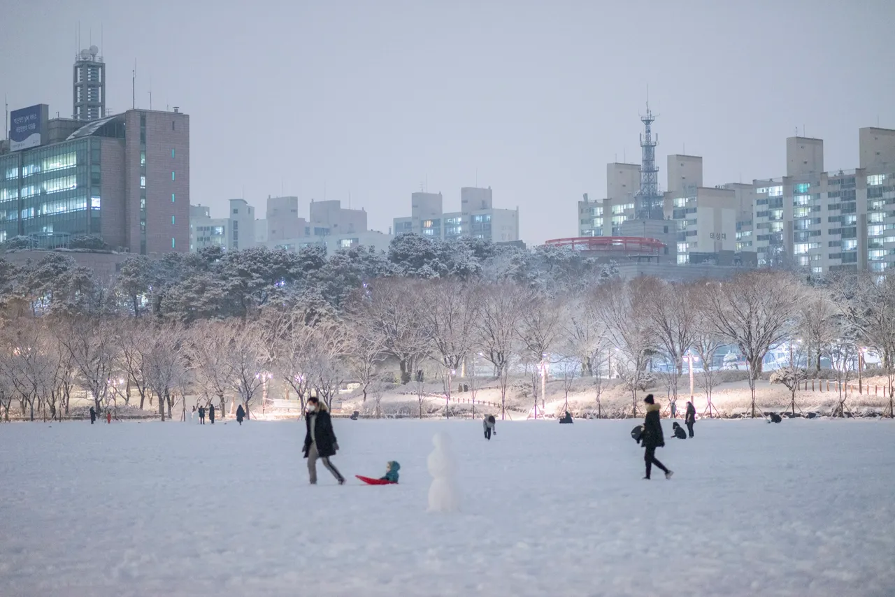 보라매공원 트랙 코스
